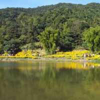 打卡廣州石門森林公園