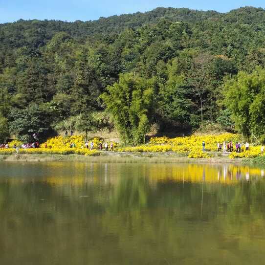 打卡廣州石門森林公園