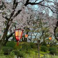 🇯🇵名古屋城：與白櫻🌸來一場歷史漫步