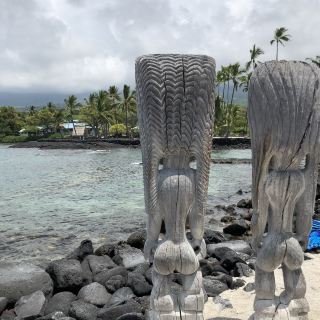 The beauty of the pacific 