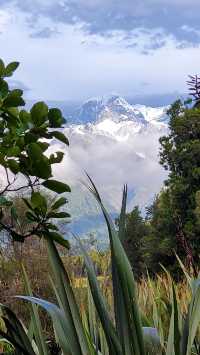 Enjoy the perfect view of Snowy Mountains at Lake Matheson.