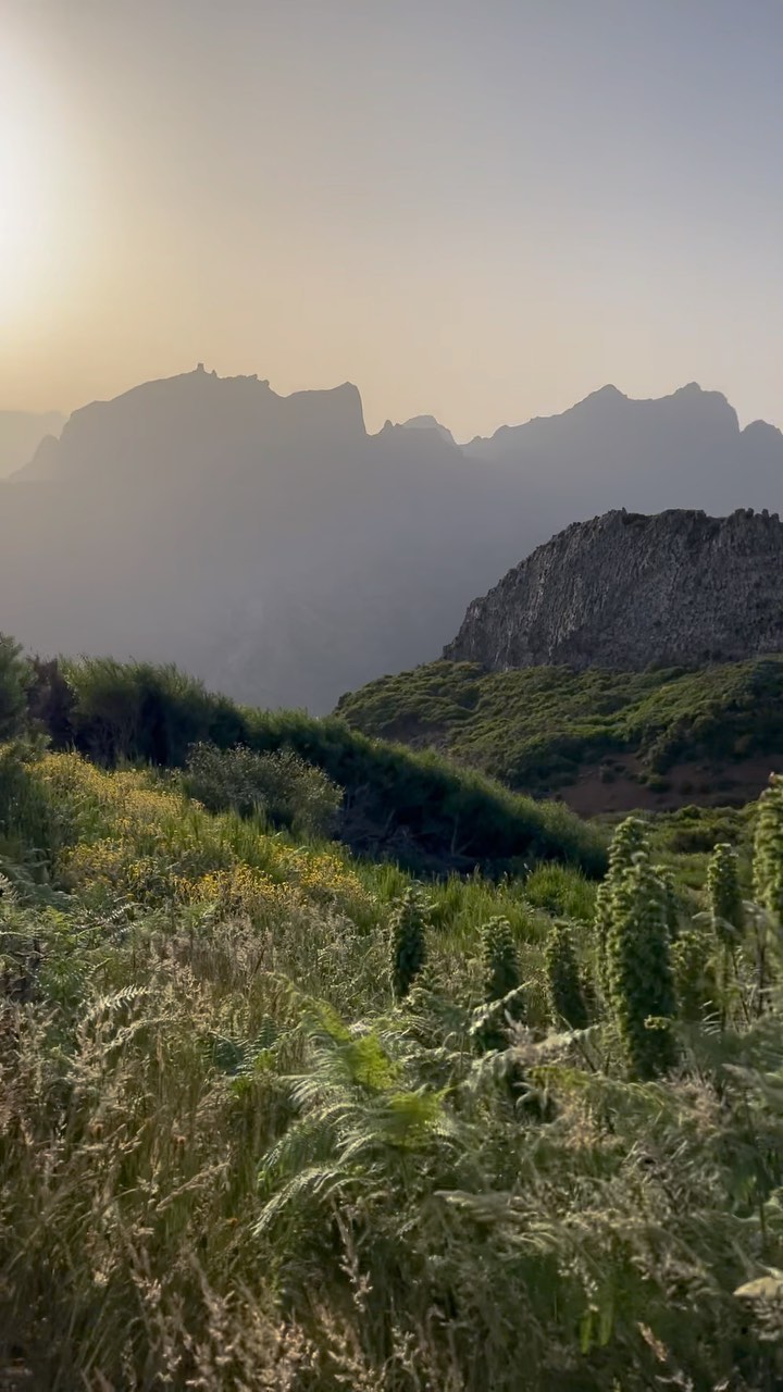 Miradouro do Paredão: Madeira's Breathtaking Viewpoint for Sunset Ma
