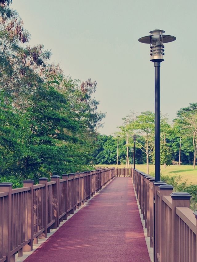 石岩湖綠道陌上公園濃郁的植被綠治癒了都市人的眼睛和心靈