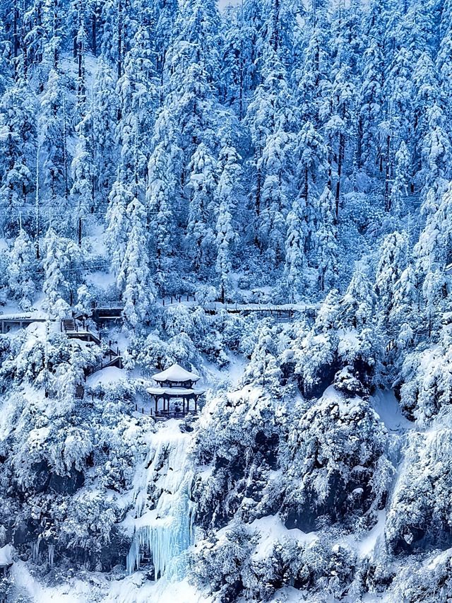 成都周邊｜比北海道還美的夢幻雪國森林|||