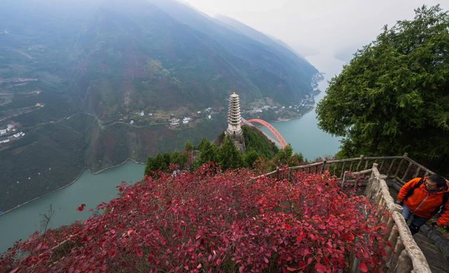 重慶巫山，不可錯過的一抹紅