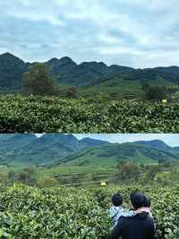 真不在新西蘭在廣東推開門即是山林雲海
