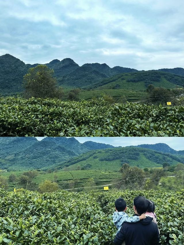 真不在新西蘭在廣東推開門即是山林雲海