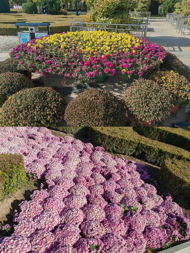 世界花卉大觀園，物超所值的地方!