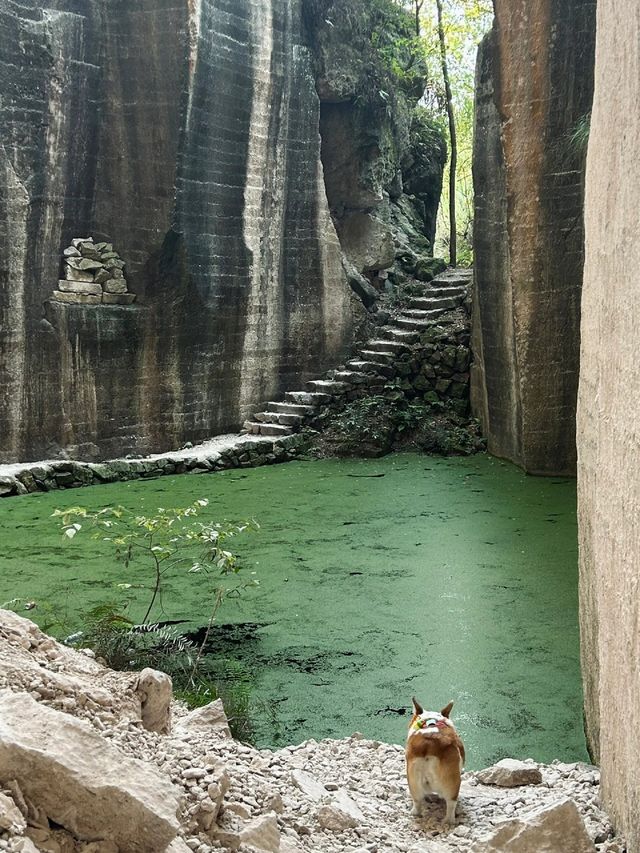 看山看水看古鄉，麗水三天旅遊攻略