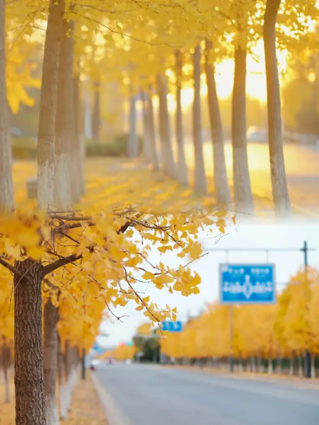 Yancheng | A hotel with a great experience