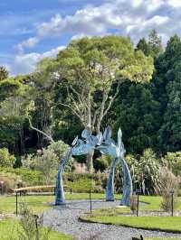 花卉王國 奧克蘭植物園 奧克蘭