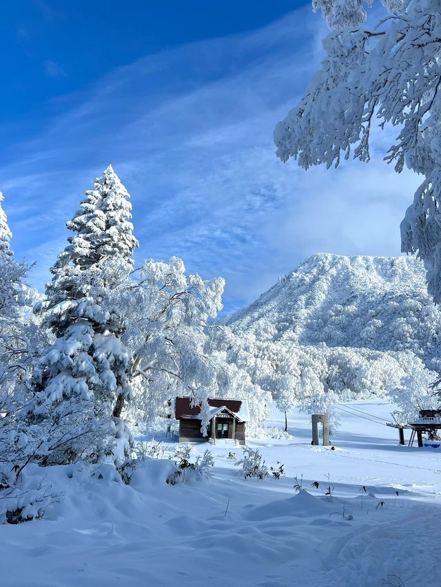 秘境藏王山：探尋複雜路線中的絕美之旅！
