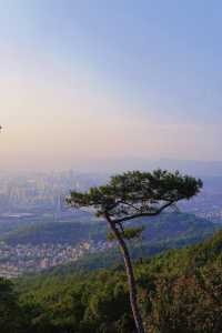 俯瞰福州全景｜鼓山登高台，最佳拍照地點