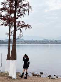 清遠拍照聖地-清遠“小洱海”|||地址:清遠北江南岸公園