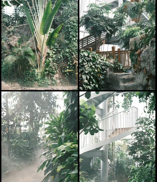 無懼降溫，來鄭州植物園體驗熱帶風情