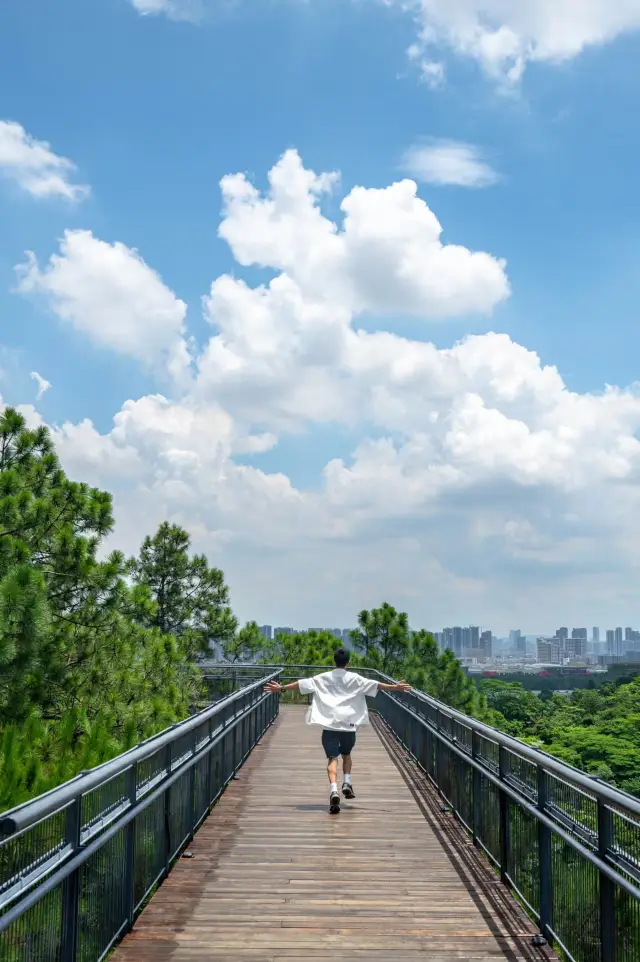 I found a super beautiful aerial plank road! It's in Guangzhou and Foshan!