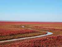 本溪盤錦紅海灘國家風景廊道之行