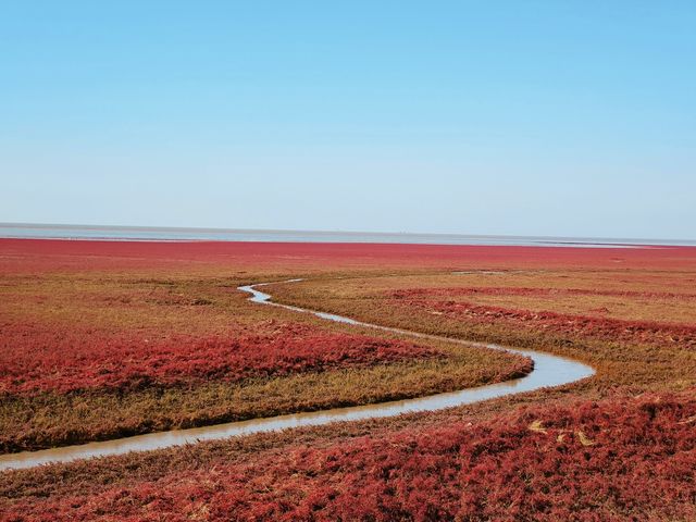 本溪盤錦紅海灘國家風景廊道之行