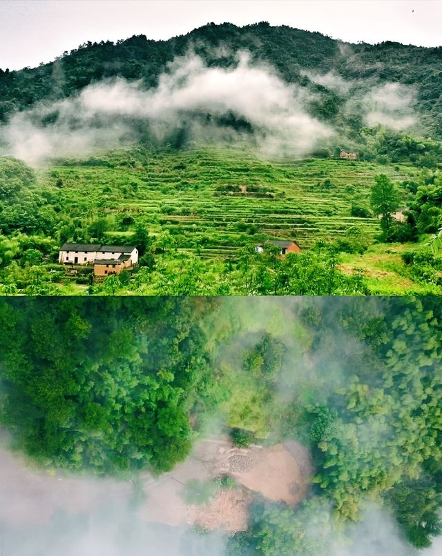 住桐廬大樂之野，500米之上雲海秘境！