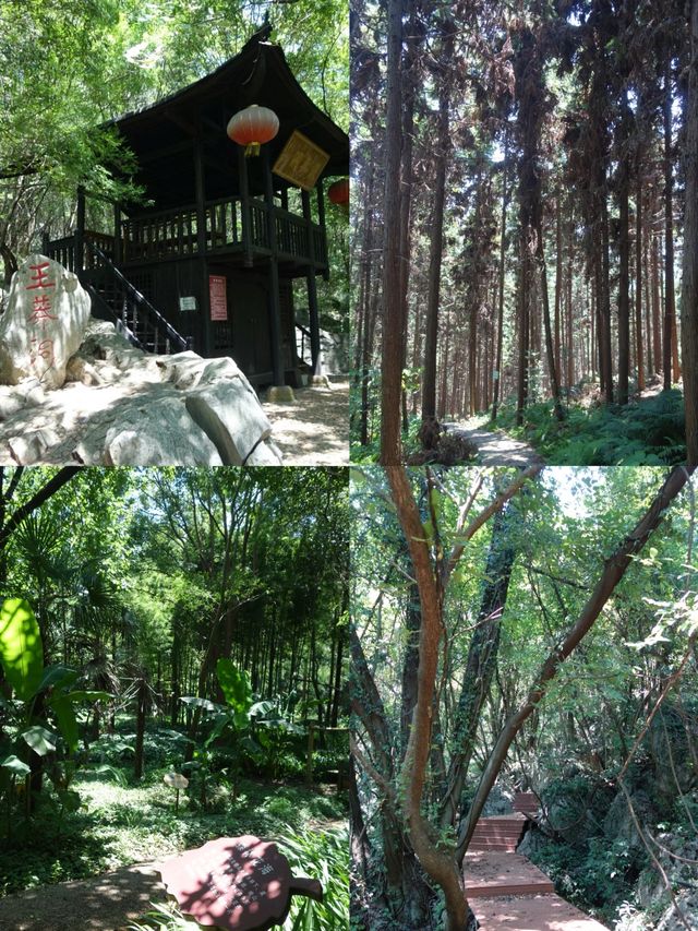 荊門太子山國家森林公園