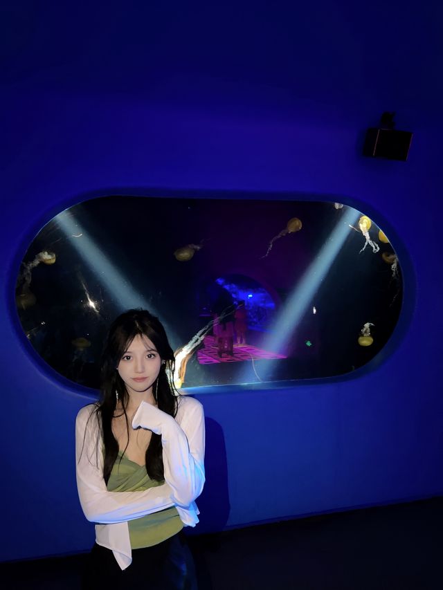 深圳海洋館!!超好拍三個區域遊玩:夢幻水母繽紛珊瑚