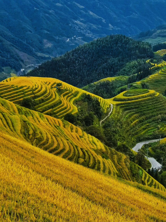 全球追秋｜桂林C位“中國最美鄉村”—龍脊梯田