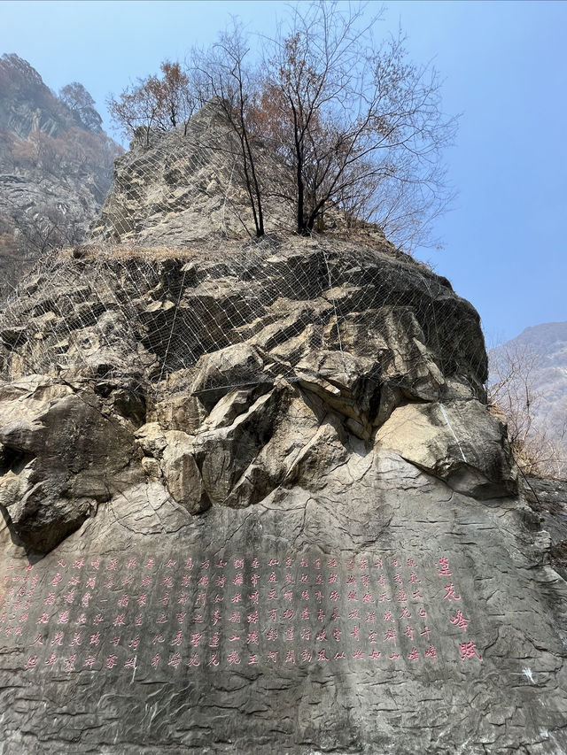 西安周邊遊|錯過又是一年，太白山賞雪景啦！