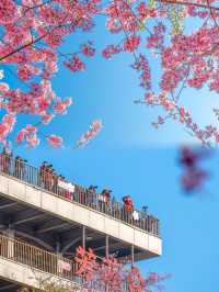 能成為《中國國家地理》《世界地理雜誌》封面的這裡將美成一幅畫