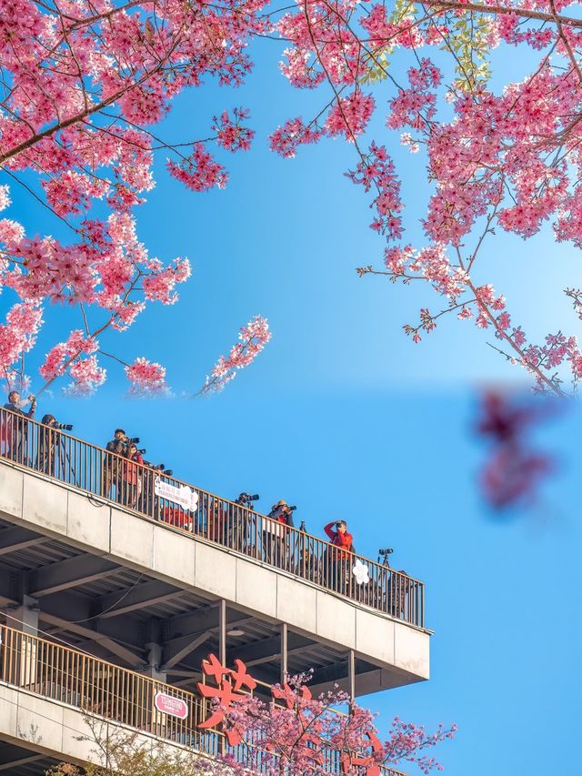 能成為《中國國家地理》《世界地理雜誌》封面的這裡將美成一幅畫