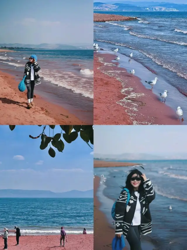 Yunnan Fuxian Lake| Personally, I think the Red Sand Beach is not a photo scam, it's super beautiful