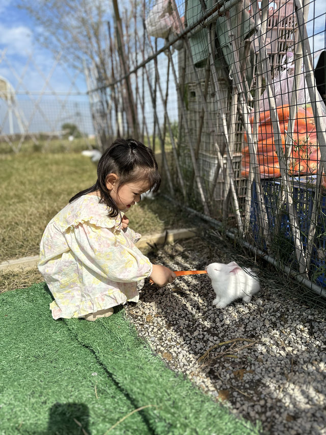 去了就會有收穫，普羅稻草人農場