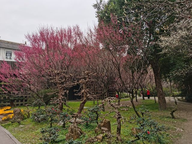 擁有深厚的文化底蘊和美麗風景的杜甫草堂