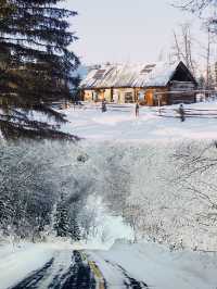 冬日新疆：7天6晚深度遊，暢享冰雪樂趣，不容錯過的旅行體驗！