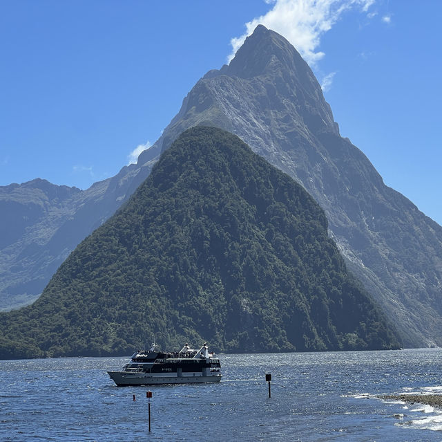 A Taste of the Enchanting Fiordland!