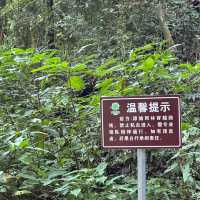 躲避人潮，行走版納：勐遠仙境熱帶雨林徒步