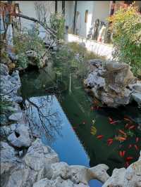 蘇州丨姑蘇城外寒山寺，夜半鐘聲到客船