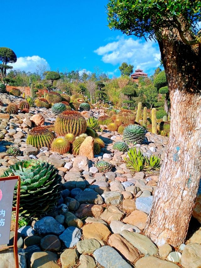 彌勒太平湖||這是什麼寶貝地方那麼美