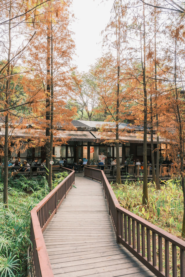 隱藏在珠江公園裡的灣區書屋