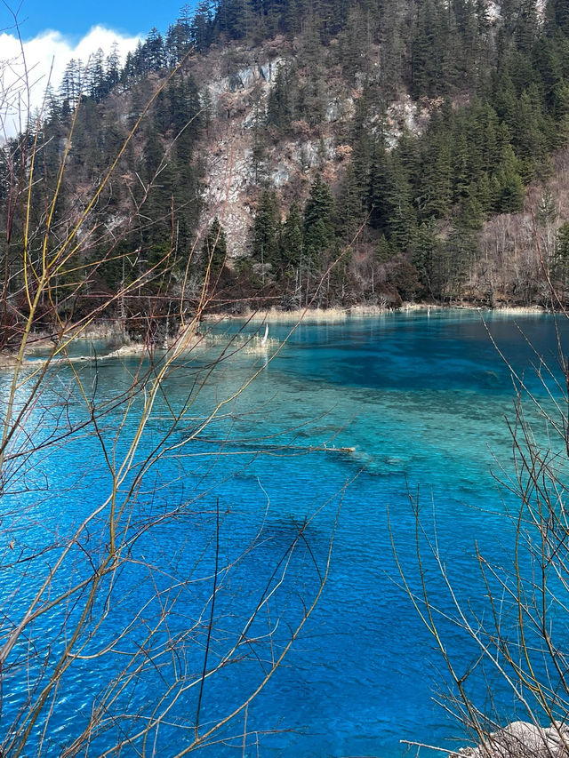 淡季的九寨溝千萬不要來！｜附旅遊攻略