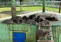 第一次來秦皇島野生動物園看這篇就夠了