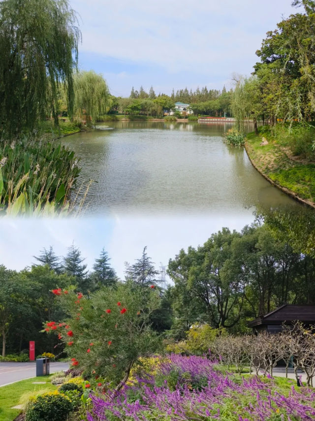 一家充滿生機勃勃的靈性公園