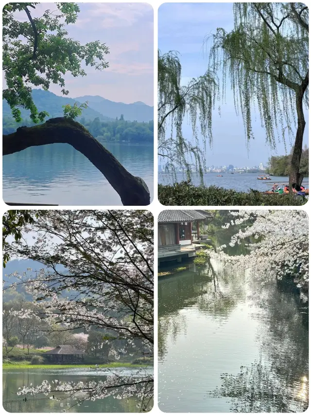 Having lived in Hangzhou for 7 years, my favorite is the one-day spring tour route around West Lake
