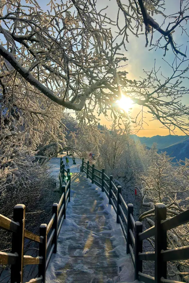 龍年就遊龍頭山