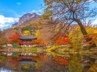 首爾的秘密花園——‘韓國之家’