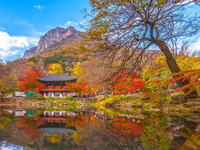 首爾的秘密花園——‘韓國之家’