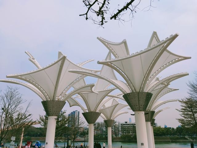 東莞新晉遛娃公園～萬江龍舟競渡主題公園