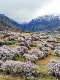 不需要去林芝，藏東也有一片桃花源，人少景美