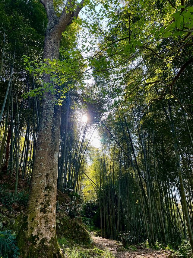 這就是高鐵直達的寶藏小城市，古代人都去過！