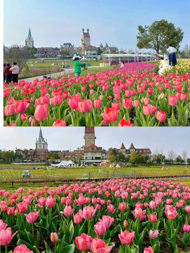 Oh my, come and take a look, visitors to Wuhan shouldn't just focus on the cherry blossoms, these are absolutely real photos