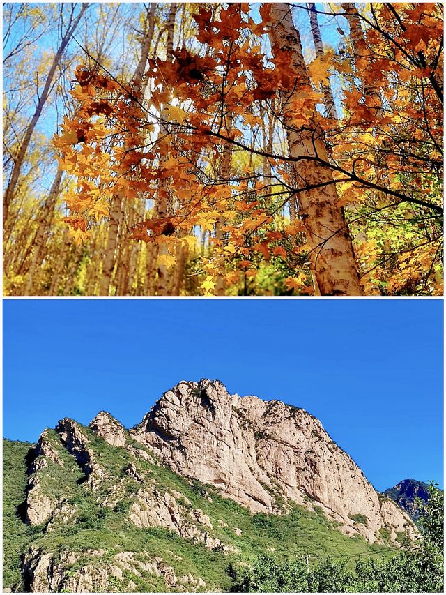 北京的初秋，先洒落在喇叭沟原始森林公園